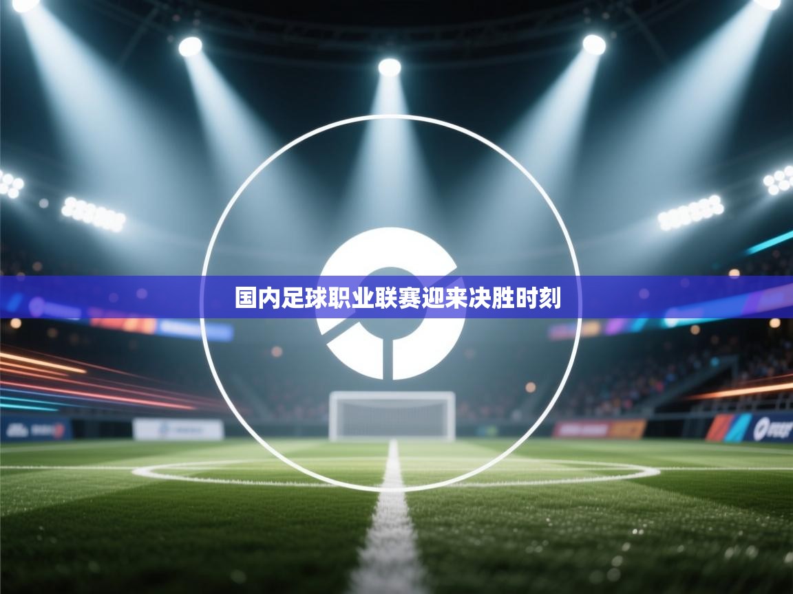 国内足球职业联赛迎来决胜时刻  第2张